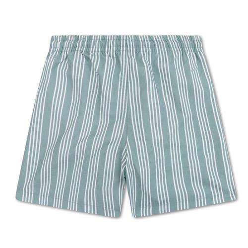 Zwemshort Swim Essentials resort strepen